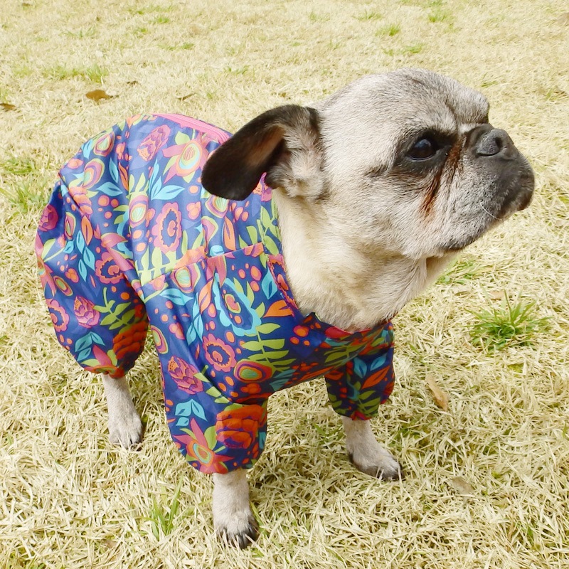 �ܥ��˥���쥤�󥳡��ȡ����̡��ɥա��ɡ�ñ�ʥ᡼���ز�/���̡��ɥա��ɤȤ�Ʊ���᡼���زġ�