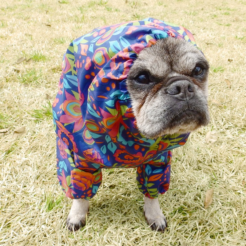 �ܥ��˥���쥤�󥳡��ȡ����̡��ɥա��ɡ�ñ�ʥ᡼���ز�/���̡��ɥա��ɤȤ�Ʊ���᡼���زġ�