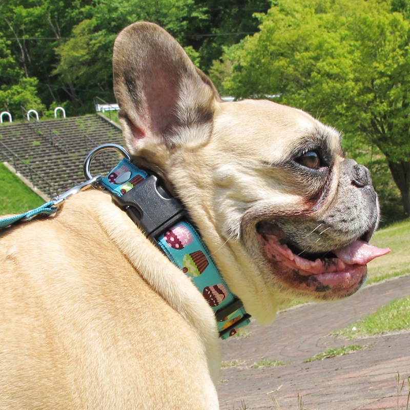 ���㥫���ɥ�ܥ�/���åץ��������ء�ñ�ʥ᡼���ز�/�꡼�ɤȤΥ᡼����Ʊ���ġ�