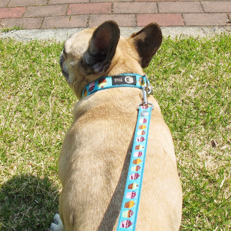 ���㥫���ɥ�ܥ�/���åץ��������ء�ñ�ʥ᡼���ز�/�꡼�ɤȤΥ᡼����Ʊ���ġ�