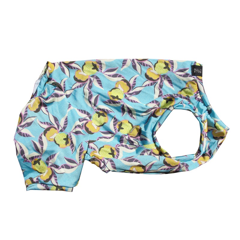 �ʤ�Υե롼�Ĥ��ʲƤĤʤ��ڲƤĤʤ�2��or�ƤĤʤ�1���T�����(����)1��ϥ᡼���زġ�