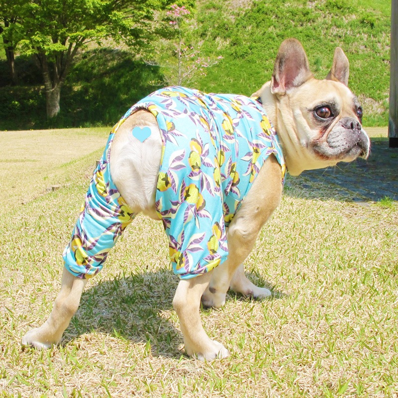 �ʤ�Υե롼�Ĥ��ʲƤĤʤ��ڲƤĤʤ�2��or�ƤĤʤ�1���T�����(����)1��ϥ᡼���زġ�