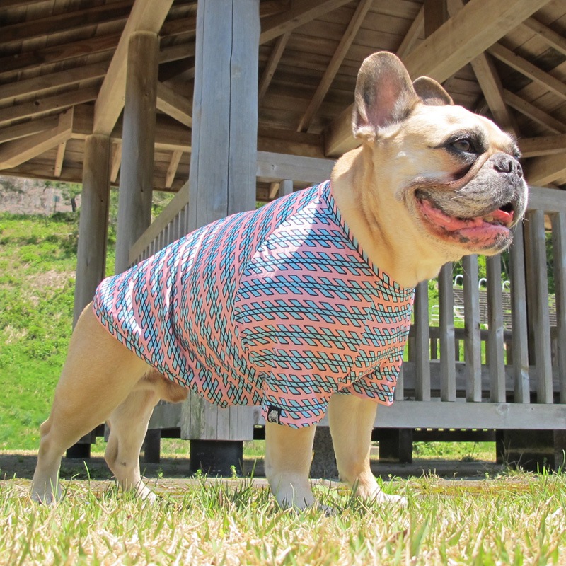 ��������������ʤ�T����ġ�T�����2��or���󥯥ȥå�1���T�����1��ϥ᡼���زġ�