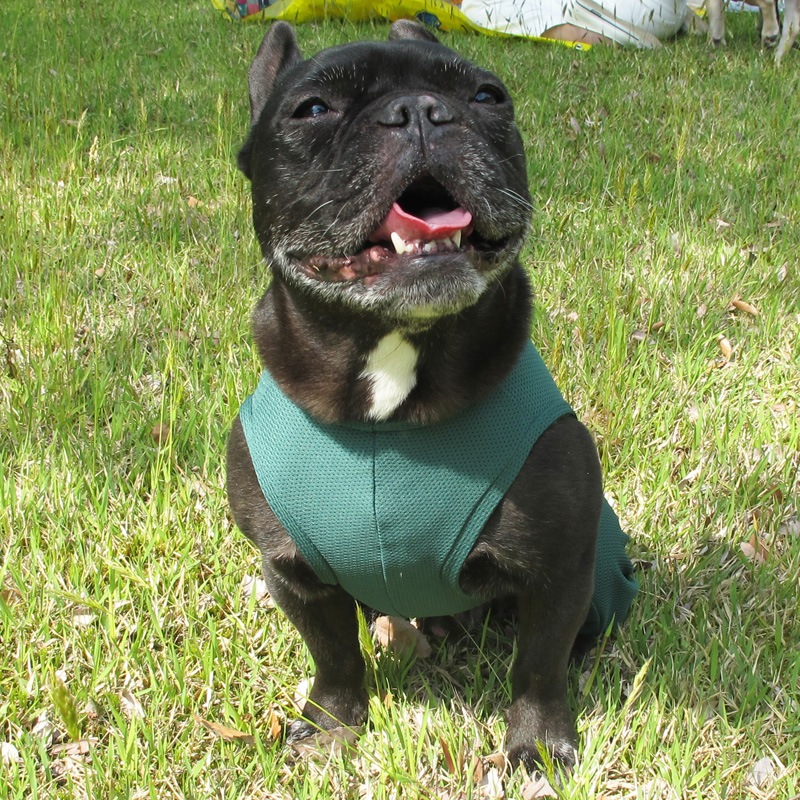 ɥ饤åƤĤʤڲƤĤʤ2orƤĤʤ1T()1ϥ᡼زġ