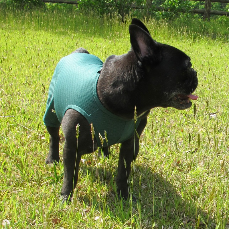 ɥ饤åƤĤʤڲƤĤʤ2orƤĤʤ1T()1ϥ᡼زġ