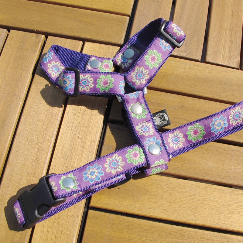 ���㥫���ɥ�ܥ�/�ե��ϡ��ͥ���ñ�ʥ᡼���ز�/�꡼�ɤȤΥ᡼����Ʊ���ġ�