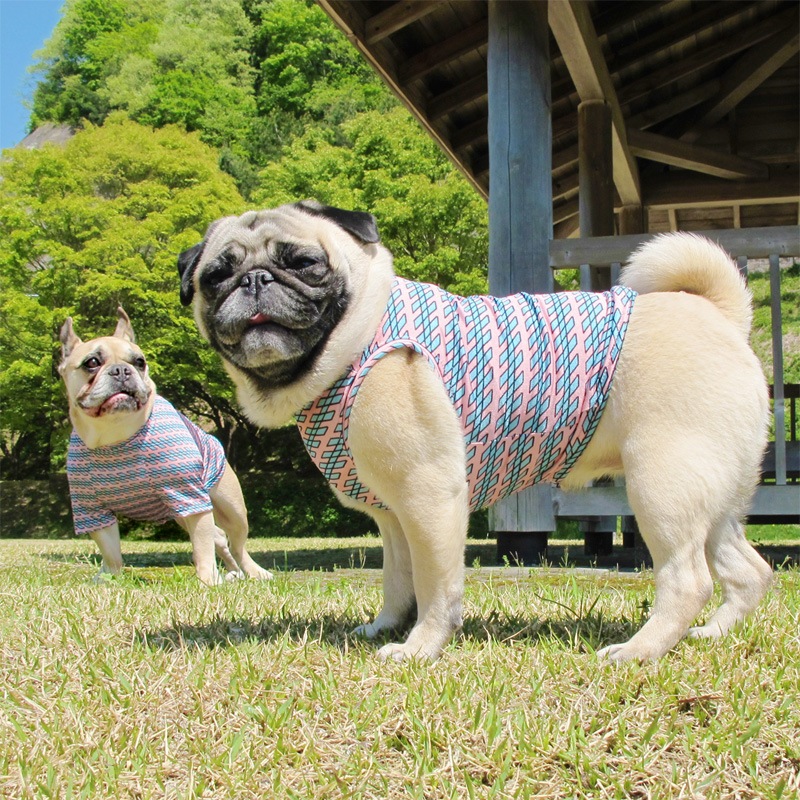 ��������������ʤ西�󥯥ȥåס�T�����2��or���󥯥ȥå�1���T�����1��ϥ᡼���زġ�