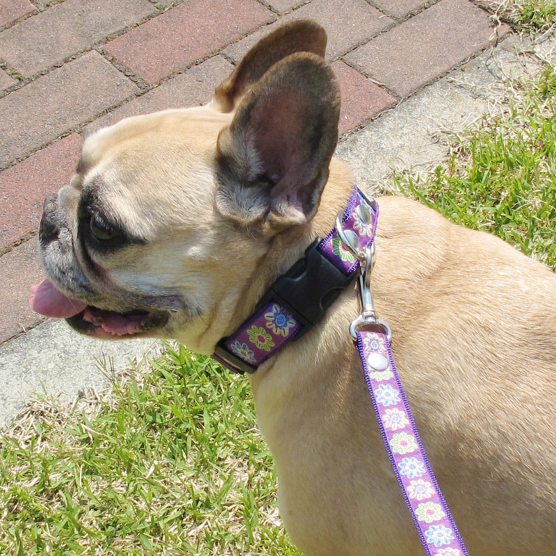 㥫ɥܥ/եءñʥ᡼ز/꡼ɤȤΥ᡼Ʊġ