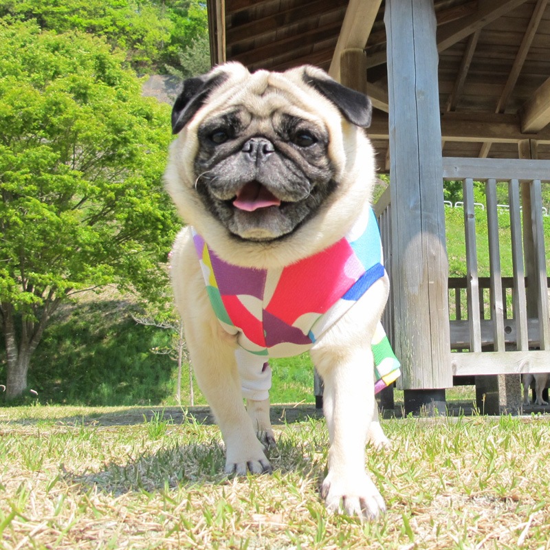 ץȥߤʲƤĤʤڲƤĤʤ2orƤĤʤ1T()1ϥ᡼زġ