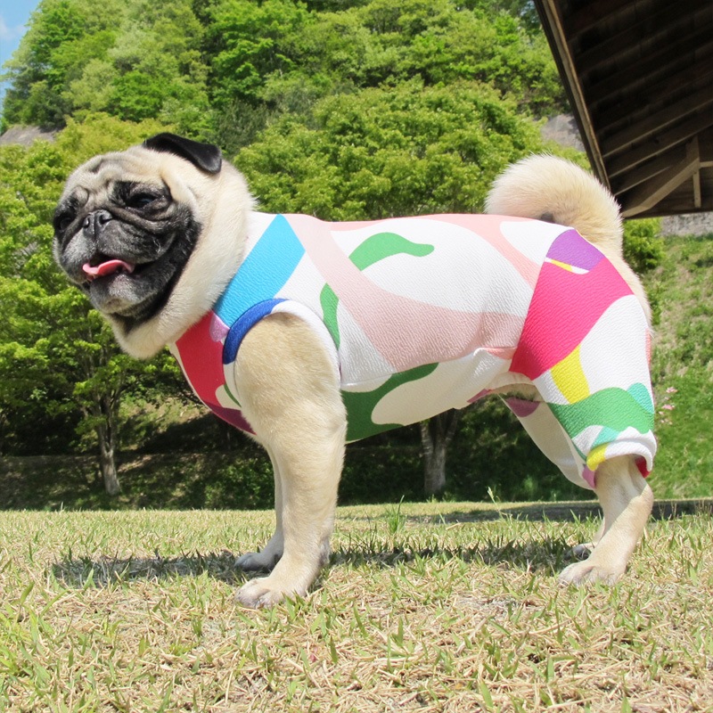 ץȥߤʲƤĤʤڲƤĤʤ2orƤĤʤ1T()1ϥ᡼زġ