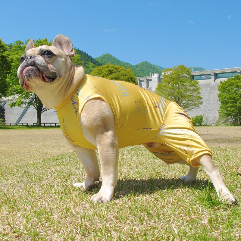 ͥʲƤĤʤڲƤĤʤ2orƤĤʤ1T()1ϥ᡼زġ