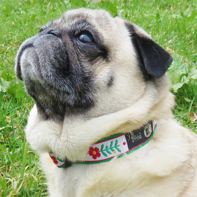 㥫ɥܥ/ۥ磻ȥ١ּءñʥ᡼ز/꡼ɤȤΥ᡼Ʊġ