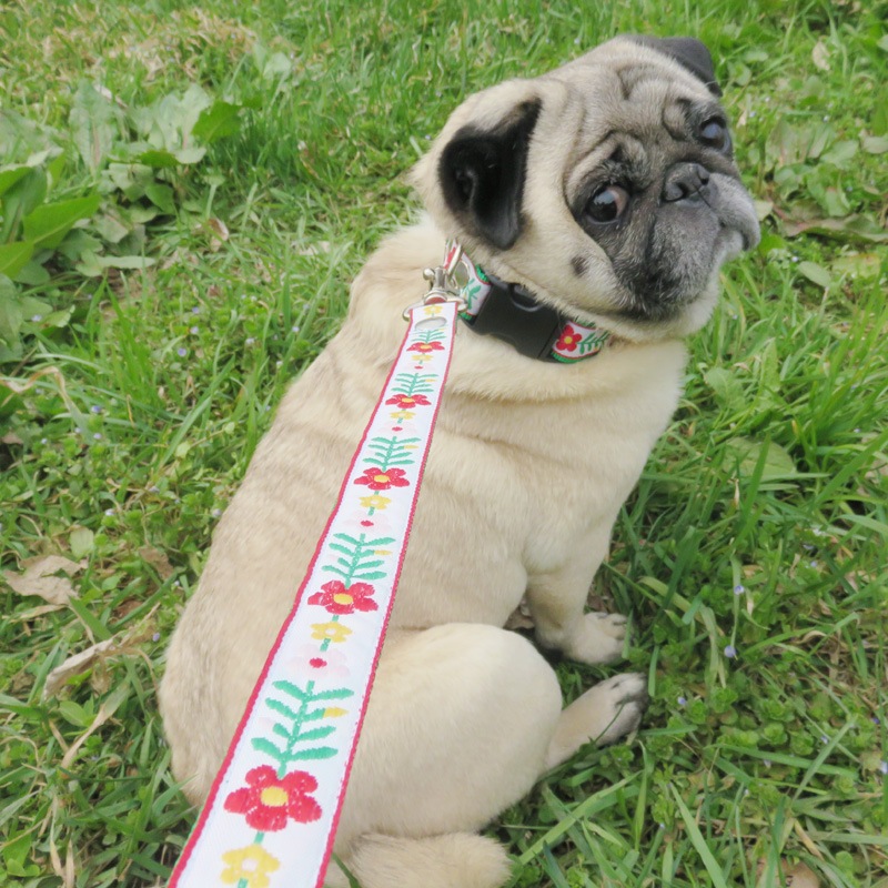 㥫ɥܥ/ۥ磻ȥ١ּءñʥ᡼ز/꡼ɤȤΥ᡼Ʊġ