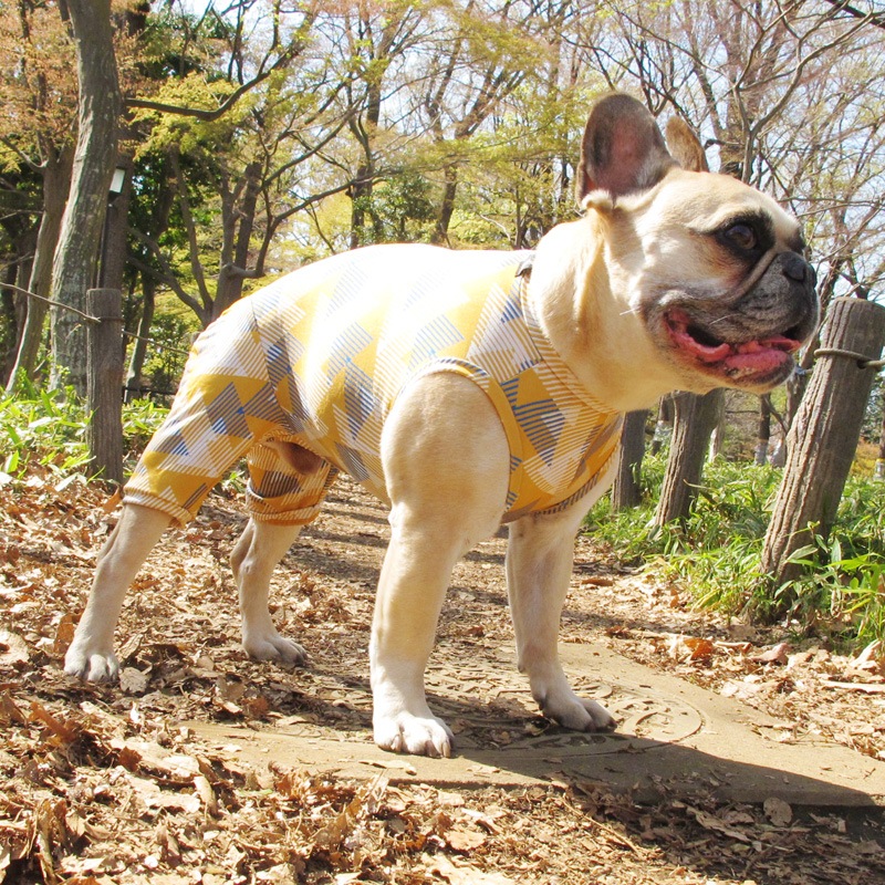 �ȥ饤���󥰥�ƤĤʤ��ڲƤĤʤ�2��or�ƤĤʤ�1���T�����(����)1��ϥ᡼���زġ�