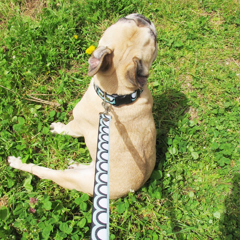 㥫ɥܥ/Ⱦݤݤءʥߥȡˡñʥ᡼ز/꡼ɤȤΥ᡼Ʊġ