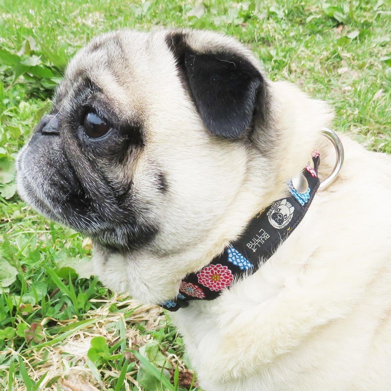 㥫ɥܥ/ðֺ餯ءñʥ᡼ز/꡼ɤȤΥ᡼Ʊġ