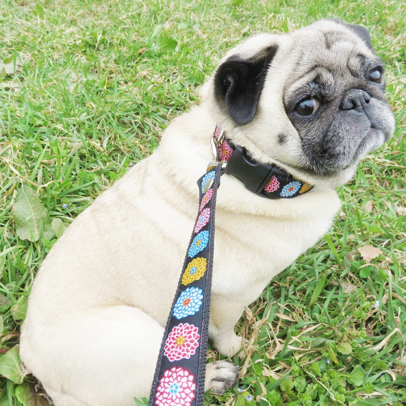 㥫ɥܥ/ðֺ餯ءñʥ᡼ز/꡼ɤȤΥ᡼Ʊġ