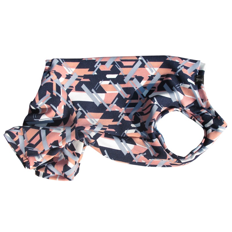 磻顼Υ⥶ƤĤʤڲƤĤʤ2orƤĤʤ1T()1ϥ᡼زġ