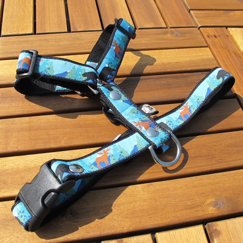 ���㥫���ɥ�ܥ�/������֤����ϡ��ͥ���ñ�ʥ᡼���ز�/�꡼�ɤȤΥ᡼����Ʊ���ġ�