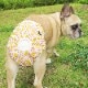 ����ĥ��С��ʥ��������ˡڥ᡼���زġ�