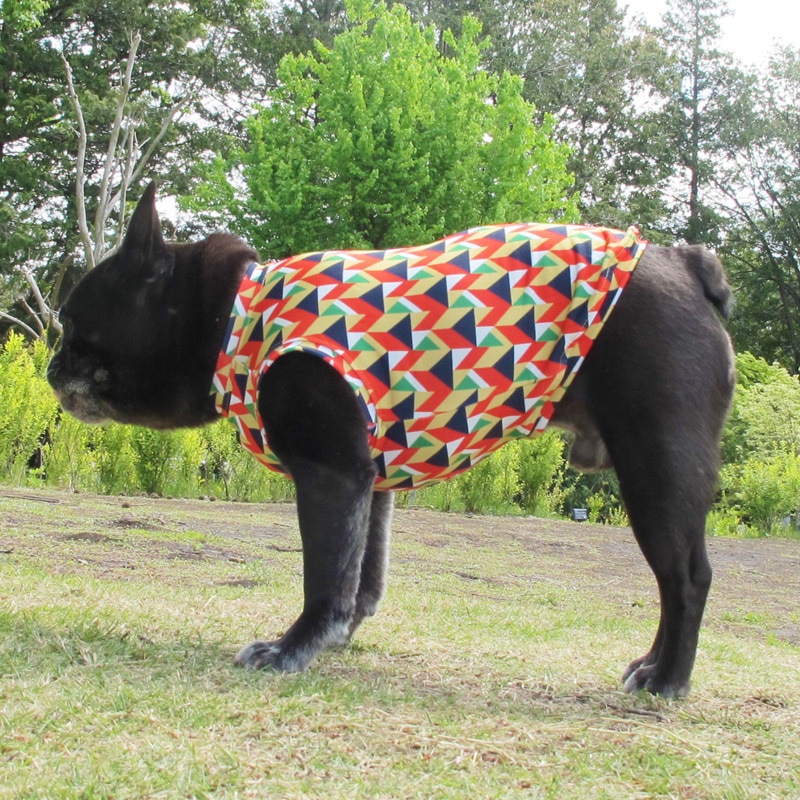 �����إץ��ȥ��󥯥ȥåס�T�����2��or���󥯥ȥå�1���T�����1��ϥ᡼���زġ�