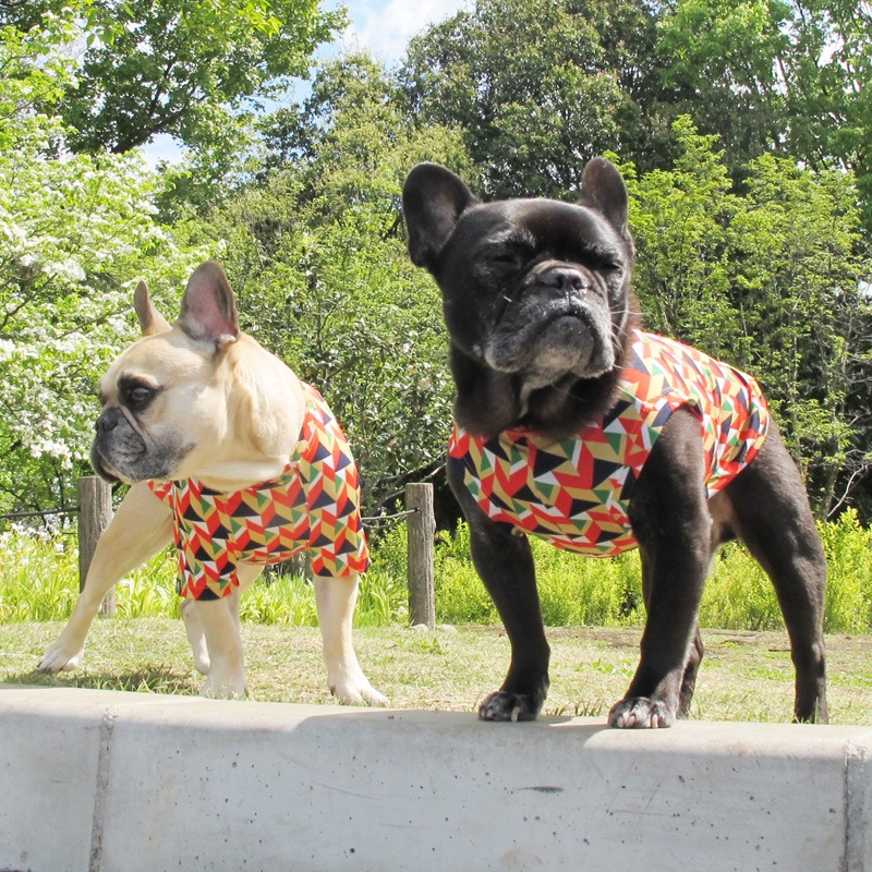 �����إץ��ȥ��󥯥ȥåס�T�����2��or���󥯥ȥå�1���T�����1��ϥ᡼���زġ�