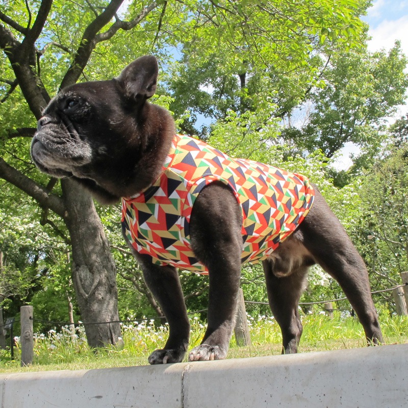 �����إץ��ȥ��󥯥ȥåס�T�����2��or���󥯥ȥå�1���T�����1��ϥ᡼���زġ�