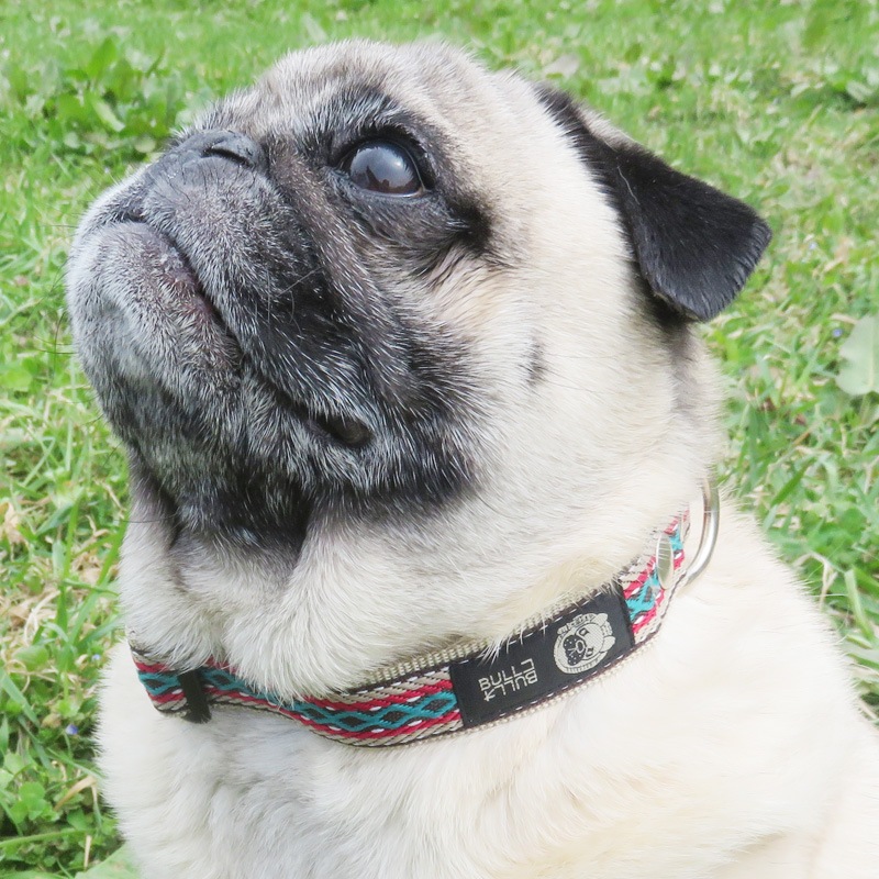 㥫PP/١ءñʥ᡼ز/꡼ɤȤΥ᡼Ʊġ