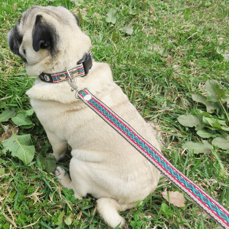 㥫PP/١ءñʥ᡼ز/꡼ɤȤΥ᡼Ʊġ