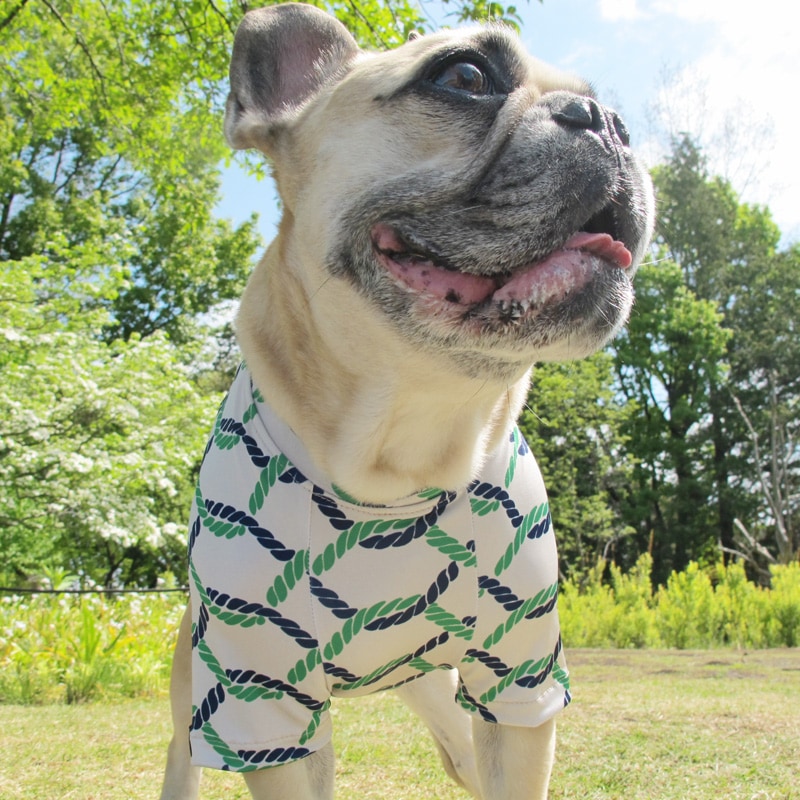 �����ץץ���T����ġ�T�����2��or���󥯥ȥå�1���T�����1��ϥ᡼���زġ�