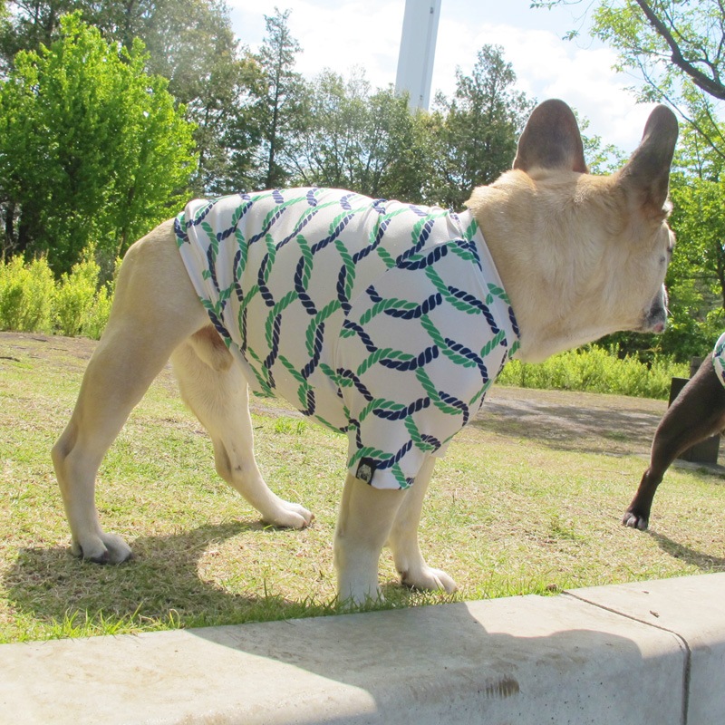 �����ץץ���T����ġ�T�����2��or���󥯥ȥå�1���T�����1��ϥ᡼���زġ�