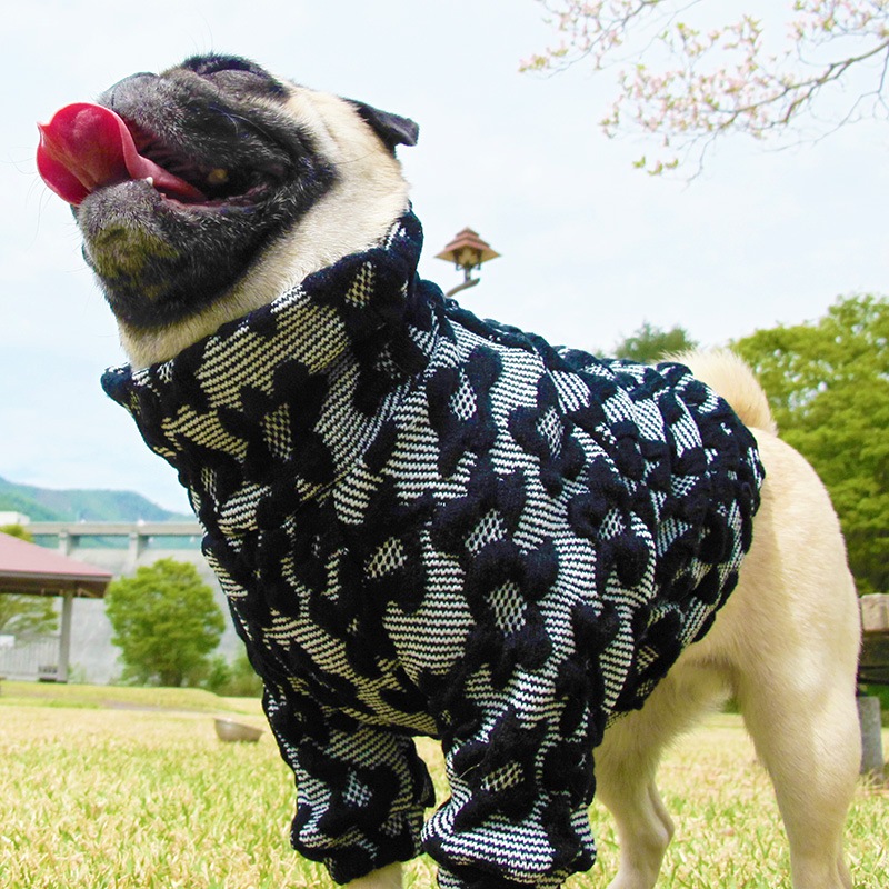 �Ĥ�S�������Τߡ��פä���Ω�Τ��֥��������ڰ���Τߥ᡼���زġ�