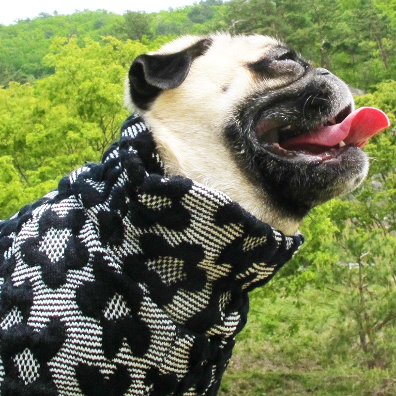 �Ĥ�S�������Τߡ��פä���Ω�Τ��֥��������ڰ���Τߥ᡼���زġ�