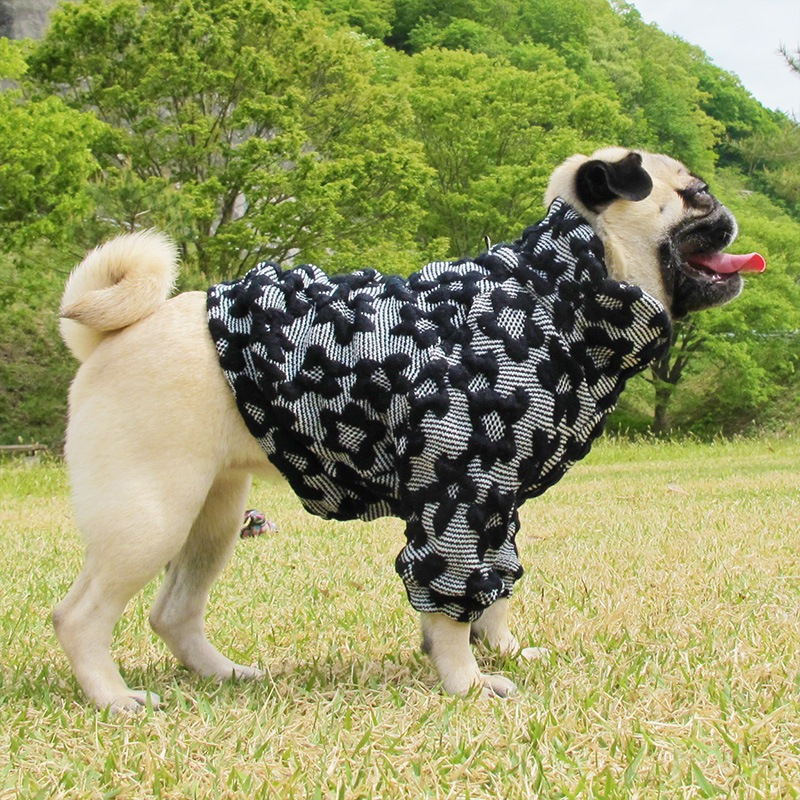 �Ĥ�S�������Τߡ��פä���Ω�Τ��֥��������ڰ���Τߥ᡼���زġ�