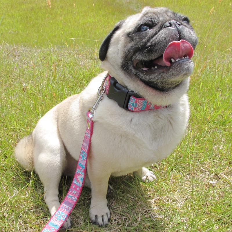 㥫ɥܥ/ԥ󥯥ȥ饤Хءñʥ᡼ز/꡼ɤȤΥ᡼Ʊġ