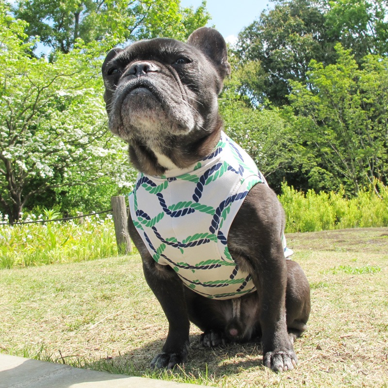 �����ץץ��ȥ��󥯥ȥåס�T�����2��or���󥯥ȥå�1���T�����1��ϥ᡼���زġ�