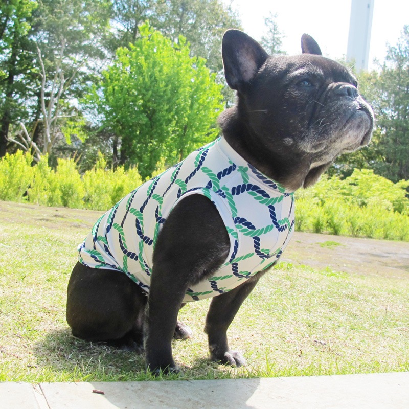 �����ץץ��ȥ��󥯥ȥåס�T�����2��or���󥯥ȥå�1���T�����1��ϥ᡼���زġ�