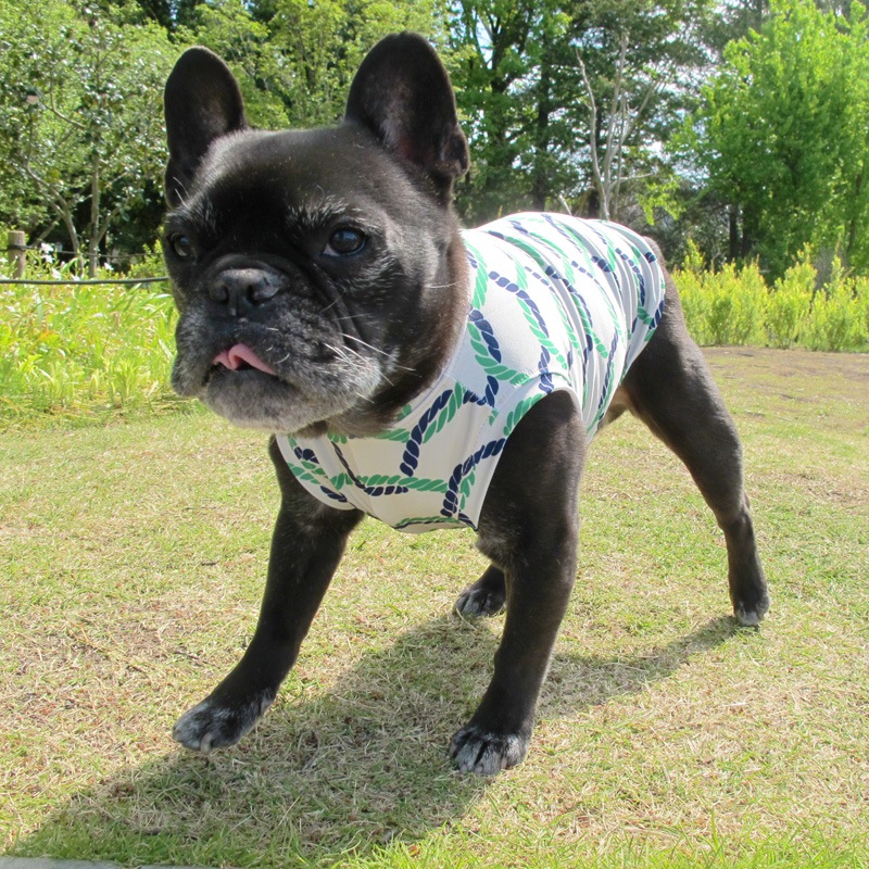 �����ץץ��ȥ��󥯥ȥåס�T�����2��or���󥯥ȥå�1���T�����1��ϥ᡼���زġ�