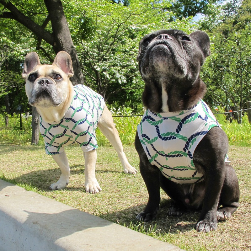 �����ץץ��ȥ��󥯥ȥåס�T�����2��or���󥯥ȥå�1���T�����1��ϥ᡼���زġ�