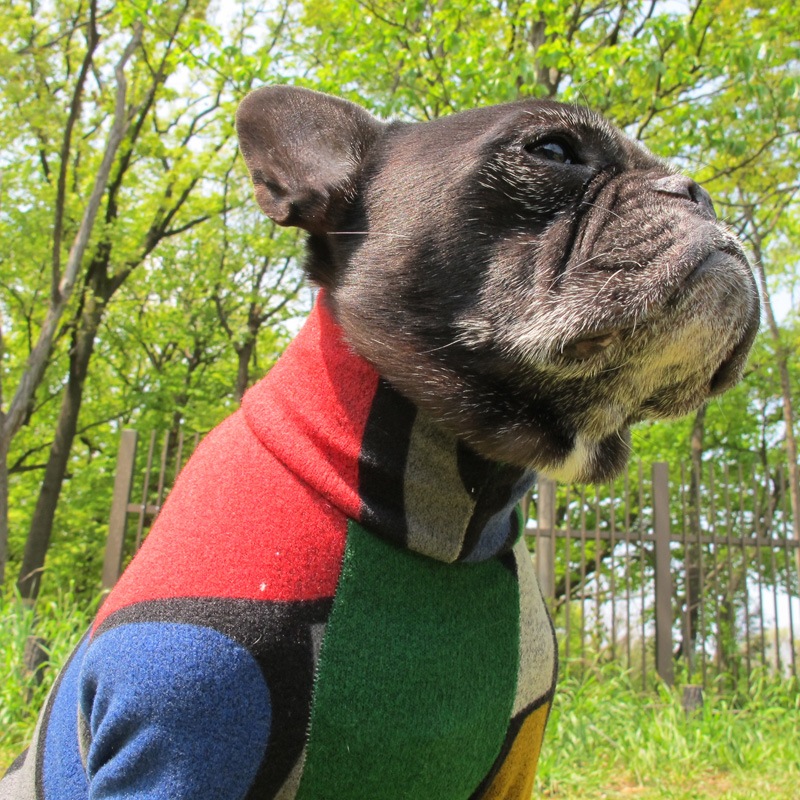 ֥å󥰤ĤʤڰΤߥ᡼زġ