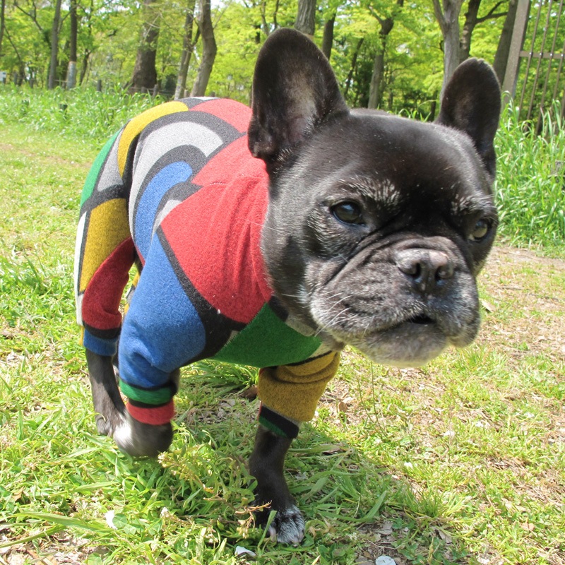 ֥å󥰤ĤʤڰΤߥ᡼زġ