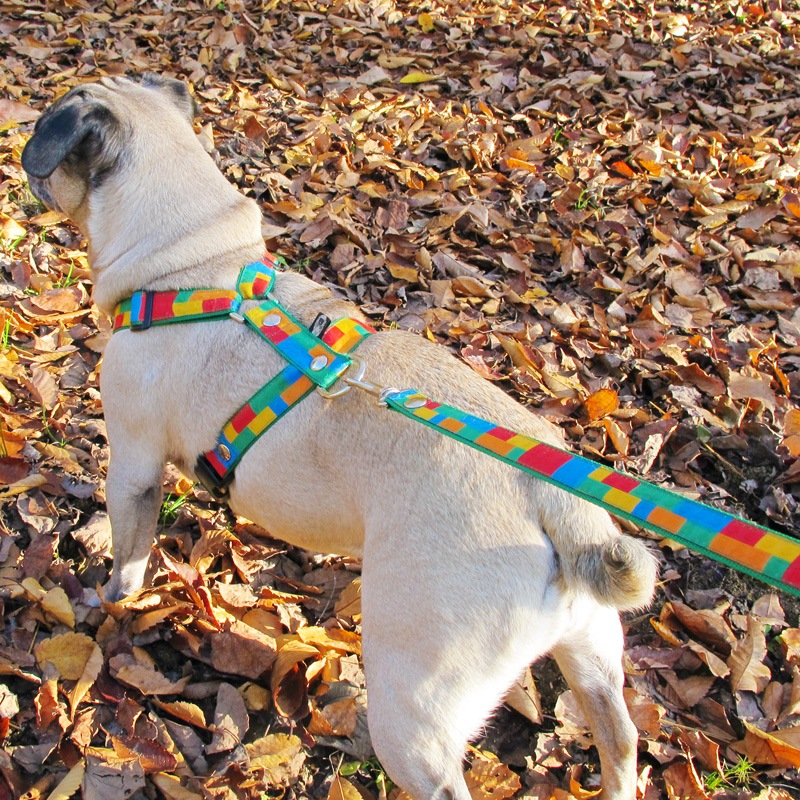 ジャカードリボン/カラフルレゴ柄リード【ハーネス・首輪とのメール便