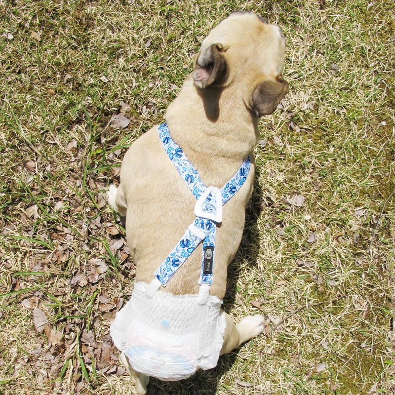 �����١��ץ��������������ڥ�����ڥ᡼���زġ�