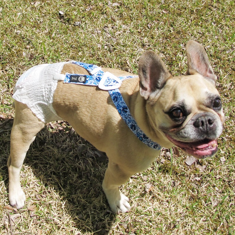 �����١��ץ��������������ڥ�����ڥ᡼���زġ�