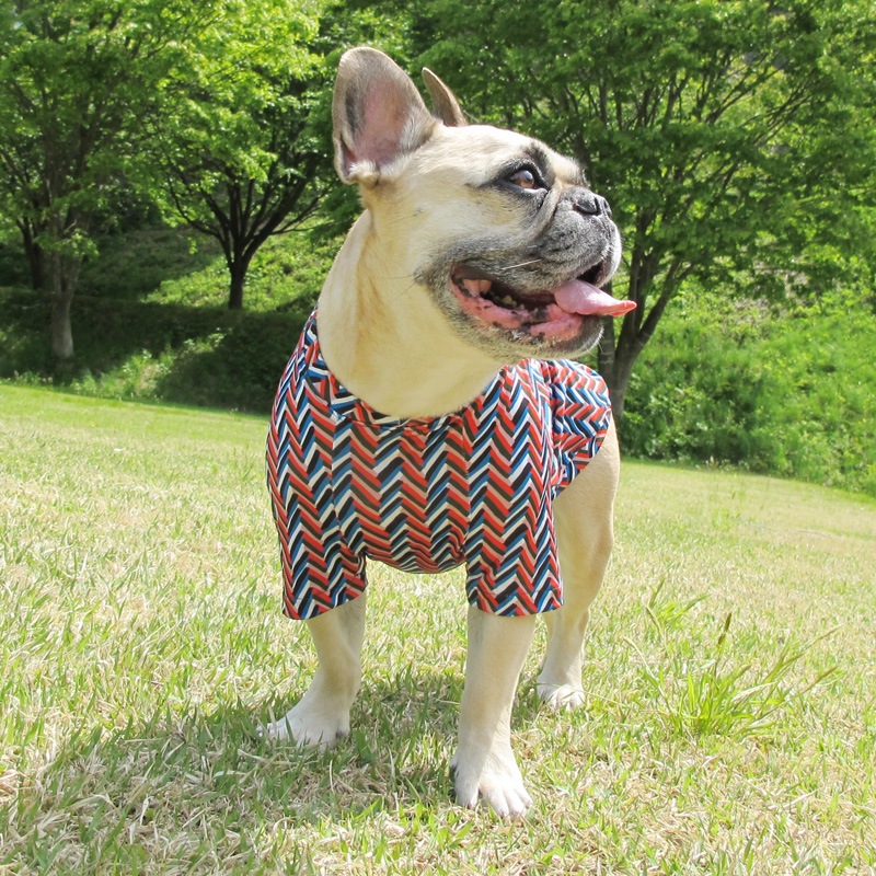 ����ե�T����ġ�T�����2��or���󥯥ȥå�1���T�����1��ϥ᡼���زġ�