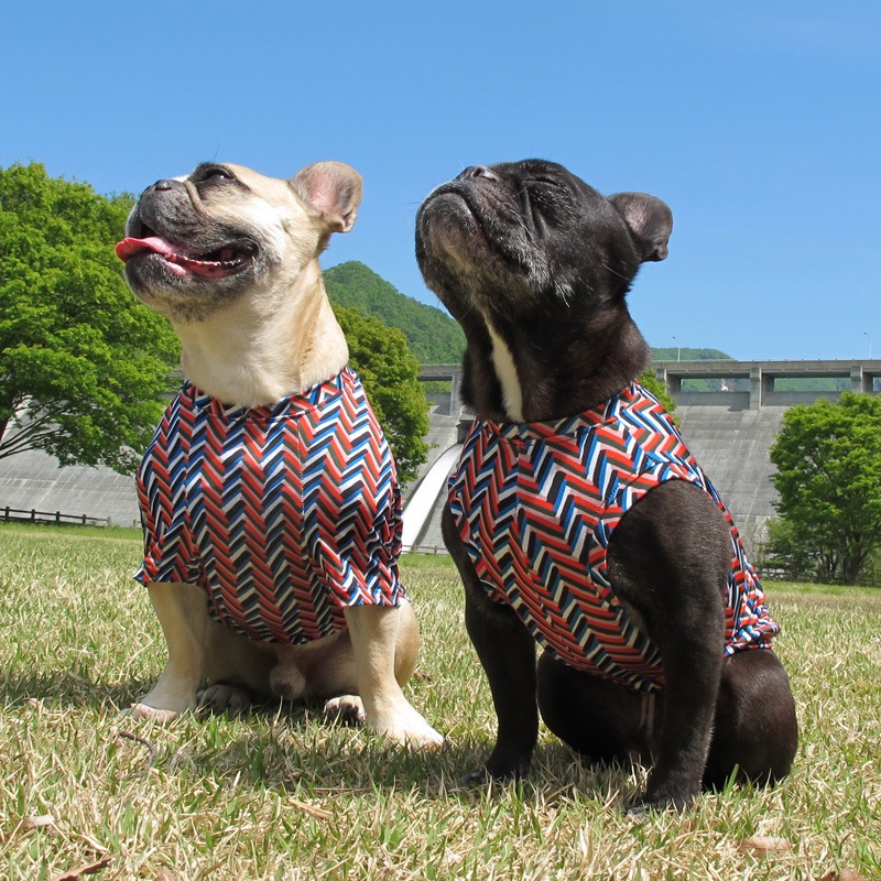 ����ե�T����ġ�T�����2��or���󥯥ȥå�1���T�����1��ϥ᡼���زġ�