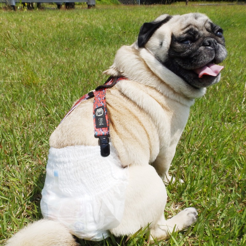 �ơ��������١��͵��������ڥ�����ڥ᡼���زġ�