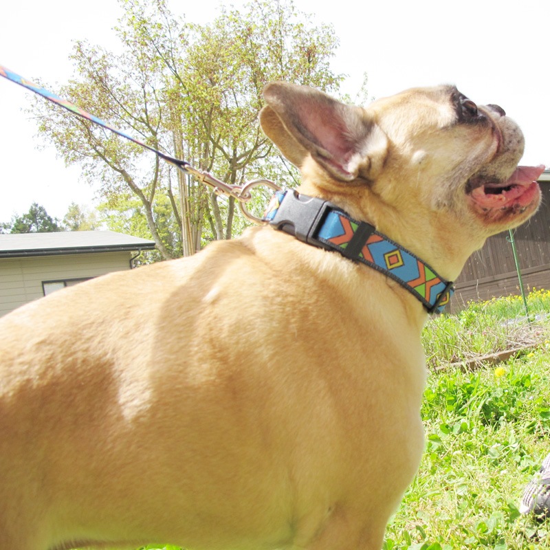 㥫ɥܥ/եءñʥ᡼ز/꡼ɤȤΥ᡼Ʊġ