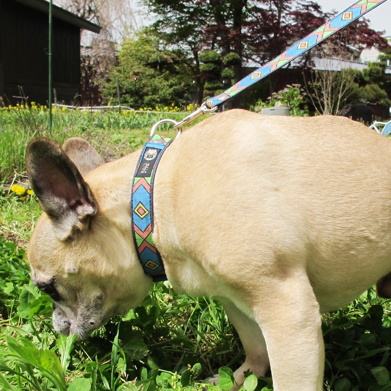 㥫ɥܥ/եءñʥ᡼ز/꡼ɤȤΥ᡼Ʊġ