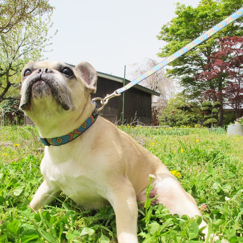 㥫ɥܥ/եءñʥ᡼ز/꡼ɤȤΥ᡼Ʊġ